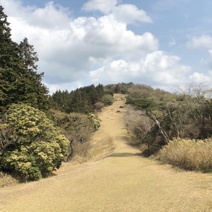 金冠山 と 達磨山