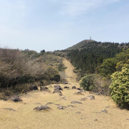 金冠山 と 達磨山