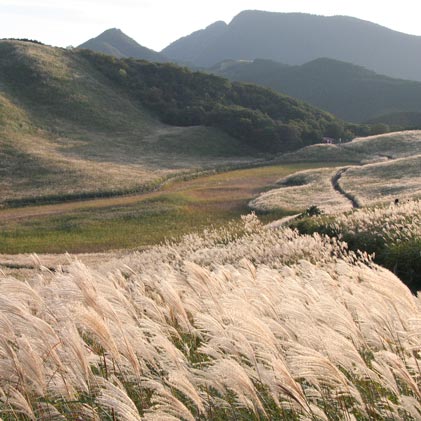 春日山原始林 と 曽爾高原