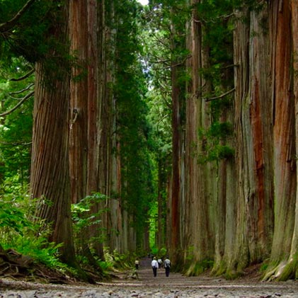 戸隠神社と八方池